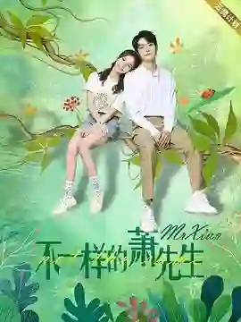 不一样的萧先生